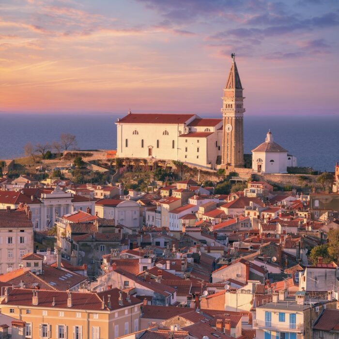 Golden hour in Istria Croatia.